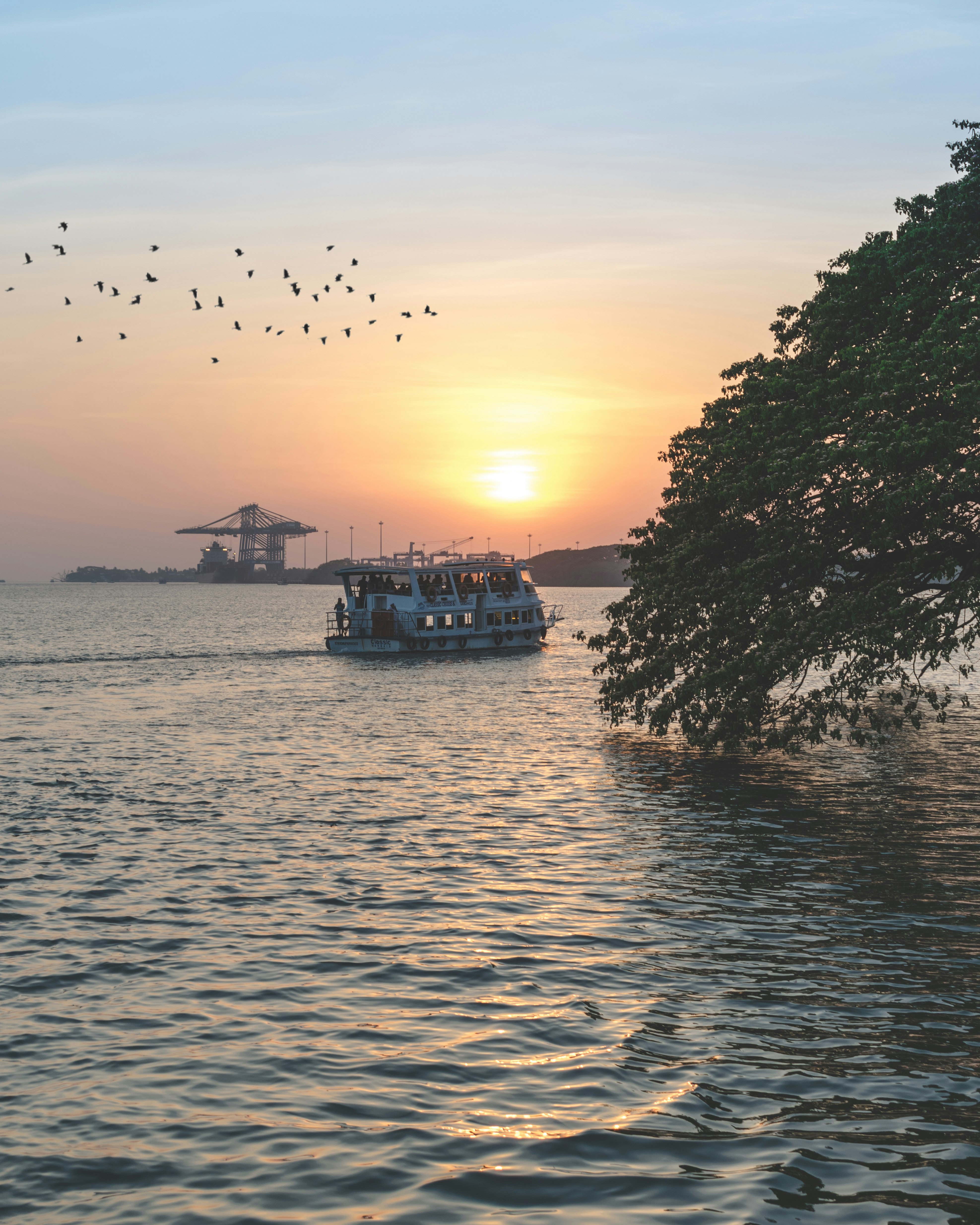 silhouette of birds flying over body of water during sunset